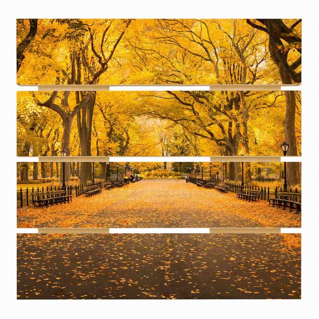 Impression sur bois - Autumn In Central Park