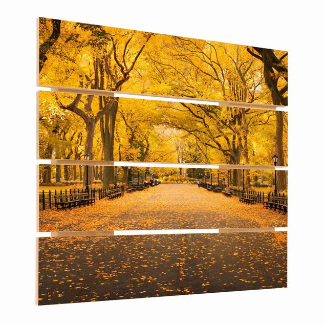 Impression sur bois - Autumn In Central Park