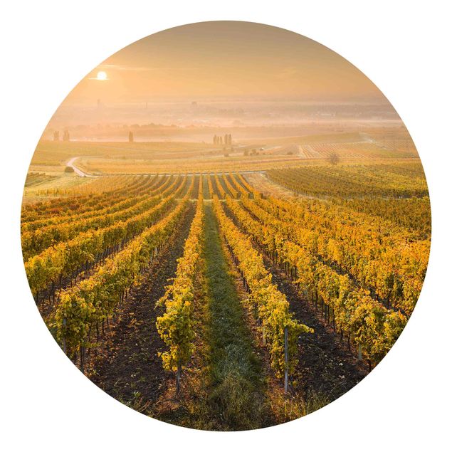 Papier peint panoramique paysage Vignobles d'automne près de Vienne