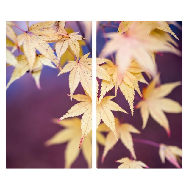 Cache plaques de cuisson - Autumn Maple Tree