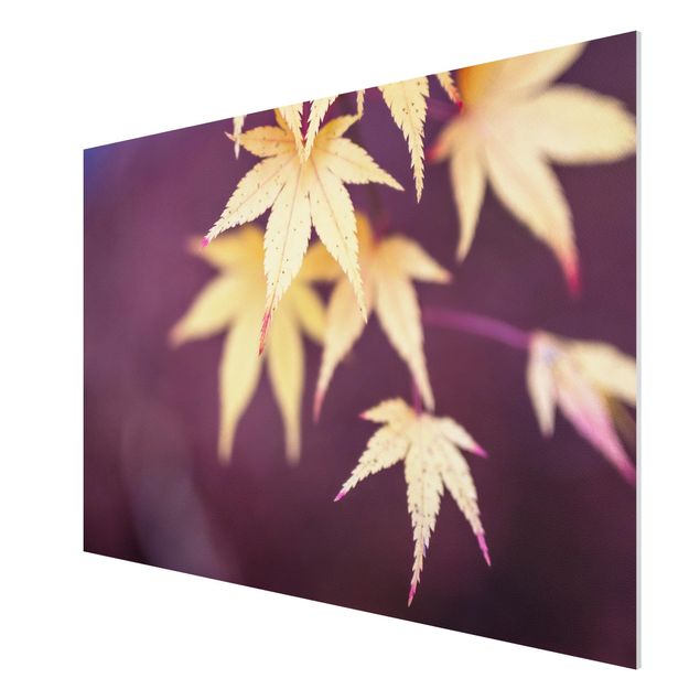 tableaux floraux Érable d'automne