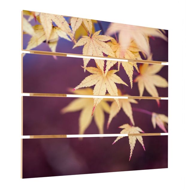 Impression sur bois - Autumn Maple Tree