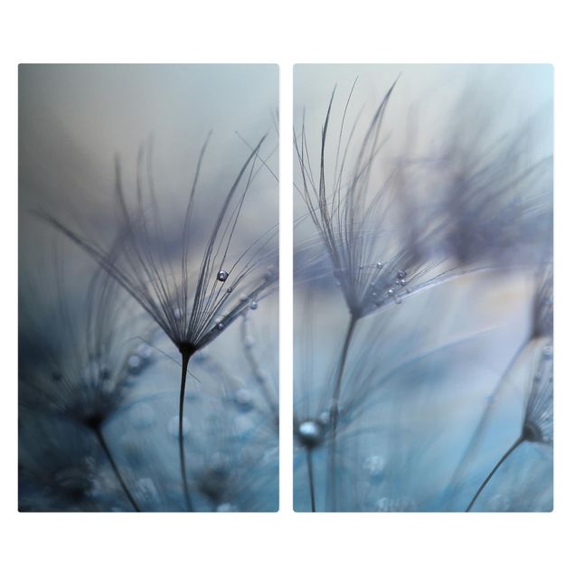 Cache plaques de cuisson en verre - Blue Feathers In The Rain