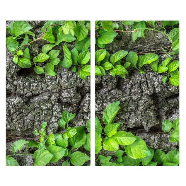 Cache plaques de cuisson en verre - Ivy Tendrils Tree Bark