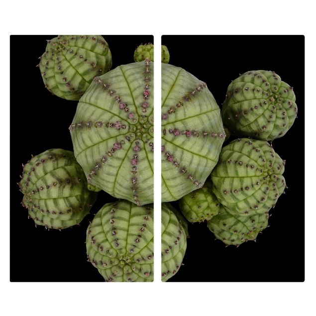 Cache plaques de cuisson en verre - Euphorbia - Spurge Urchins