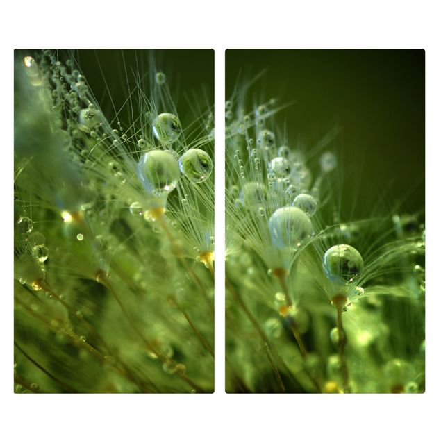 Cache plaques de cuisson en verre - Green Seeds In The Rain