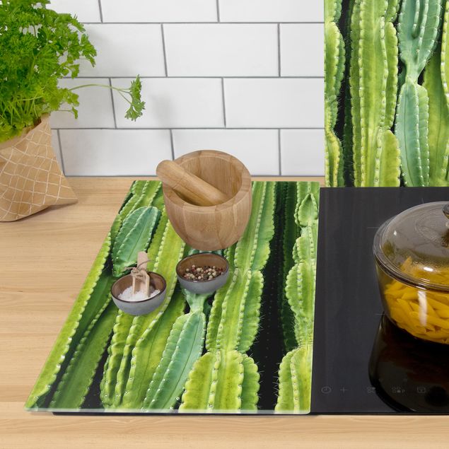 Cache plaques de cuisson en verre - Cactus Wall