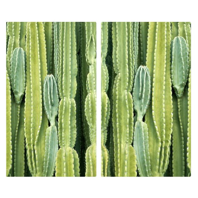 Cache plaques de cuisson en verre - Cactus Wall