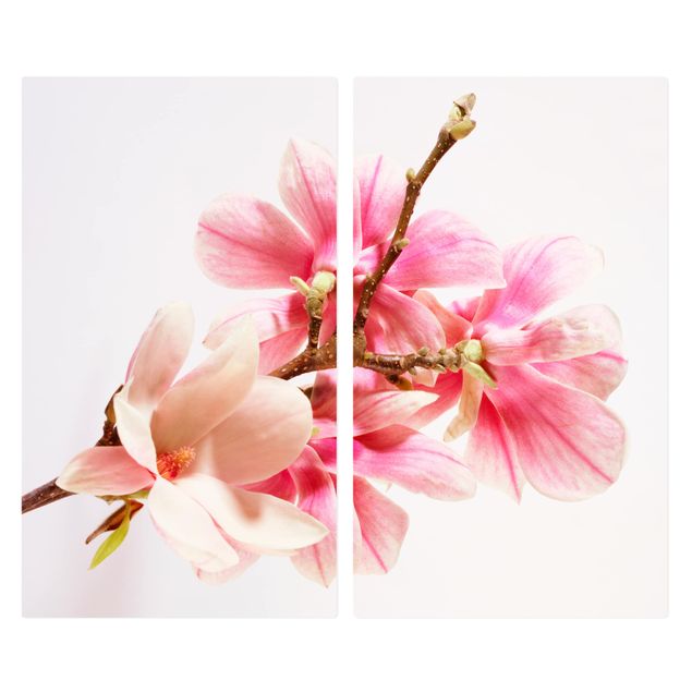 Cache plaques de cuisson fleurs Fleurs de magnolia