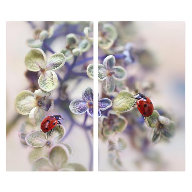 Cache plaques de cuisson en verre - Ladybird In The Garden