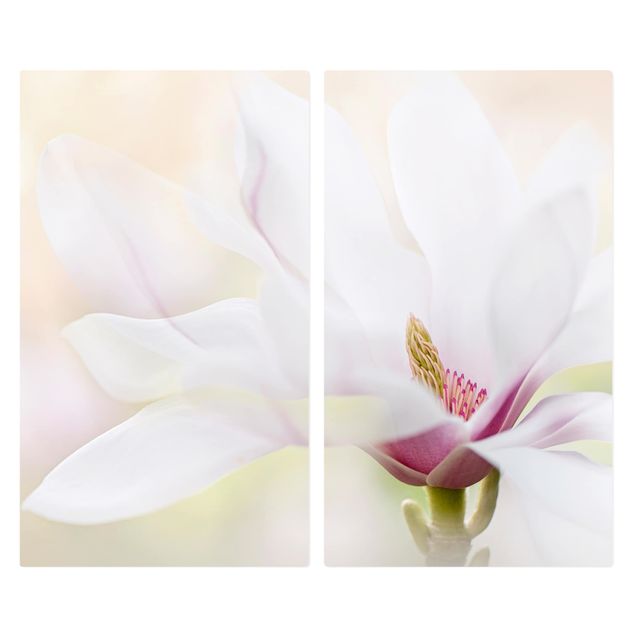 Cache plaques de cuisson en verre - Delicate Magnolia Blossom
