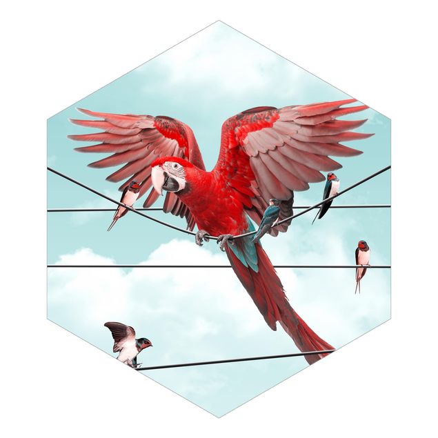 Papier peint hexagonal Ciel avec oiseaux