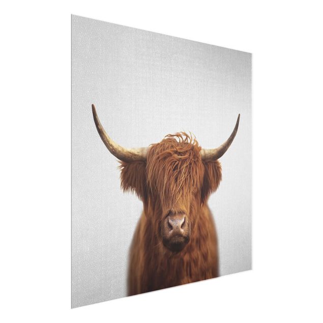 Tableaux animaux Vache Highland Harry