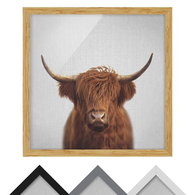 Tableaux muraux Vache Highland Harry