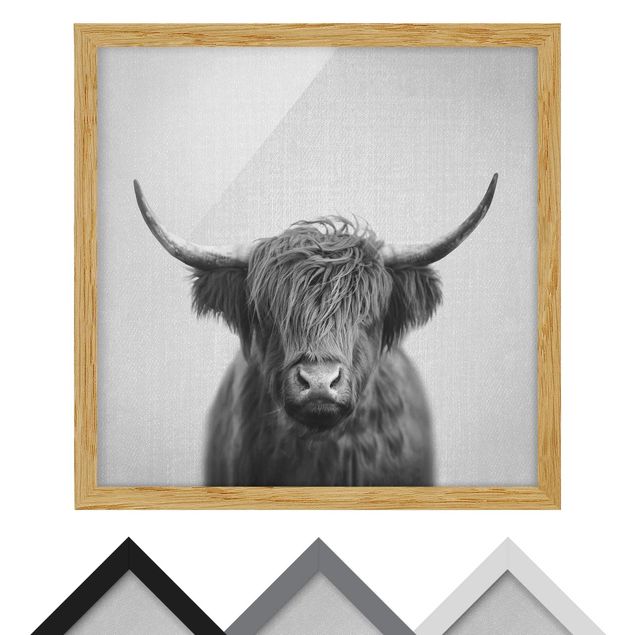 Tableaux muraux Vache Highland Harry Noir et Blanc