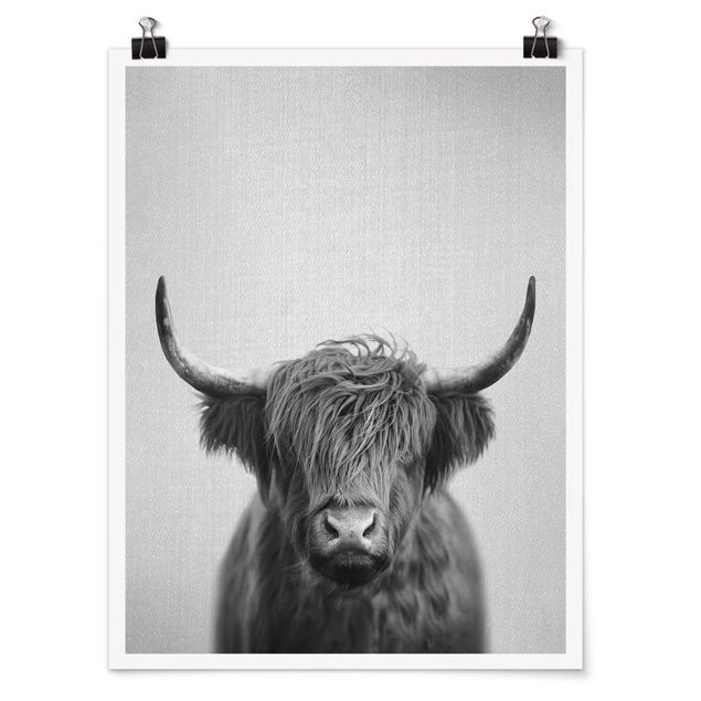 Tableau animaux Vache Highland Harry Noir et Blanc