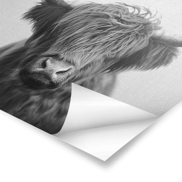 Posters muraux Vache Highland Harry Noir et Blanc
