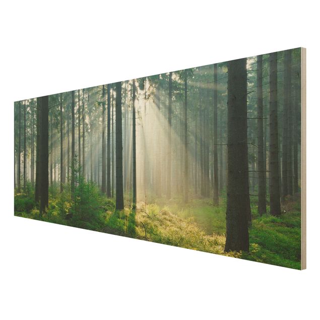 Tableaux en bois avec paysage Forêt éclairée