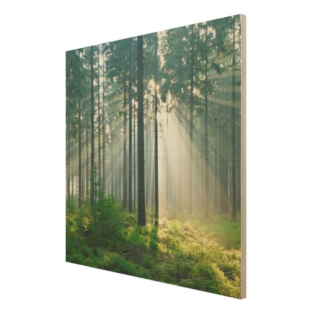 Tableaux en bois avec paysage Forêt éclairée
