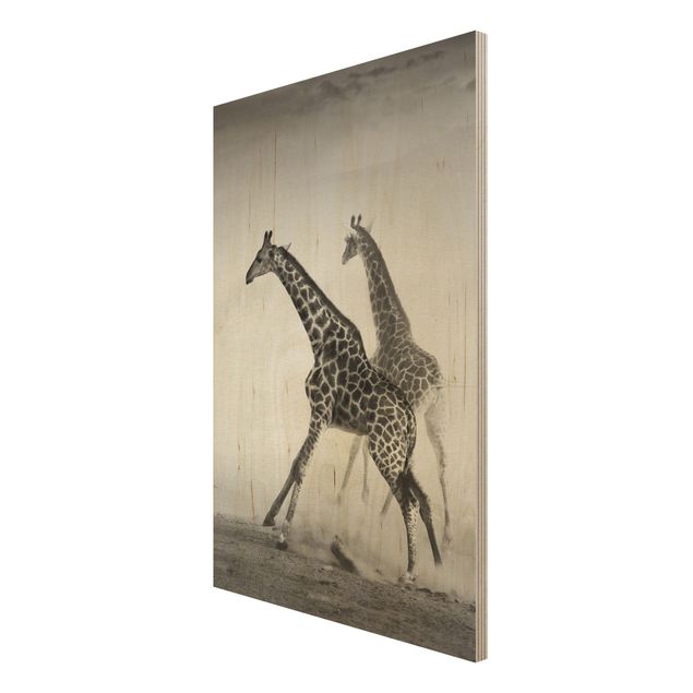 Tableaux Girafes à la chasse