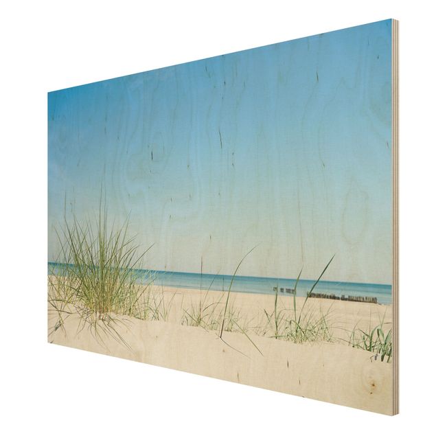 Tableaux en bois avec plage & mer Côte de la mer Baltique