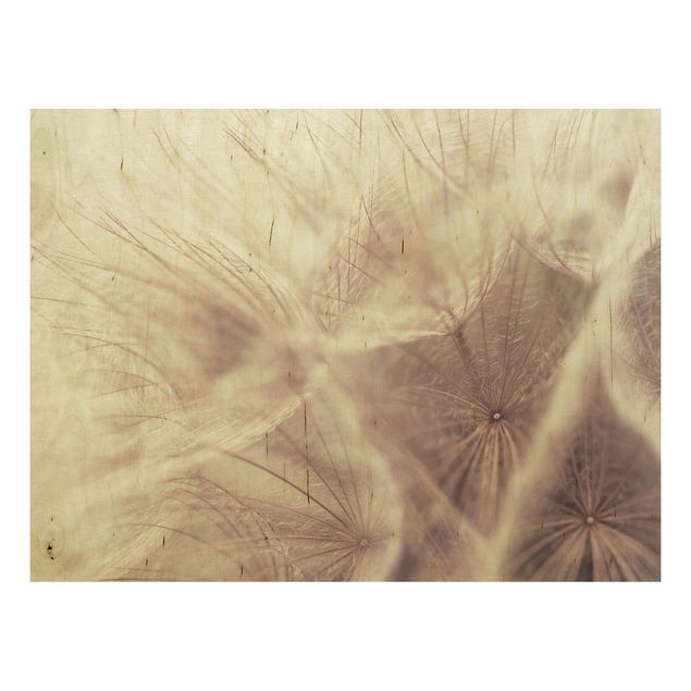 Tableaux en bois avec fleurs Macro photo détaillée d'un pissenlit avec effet de flou vintage