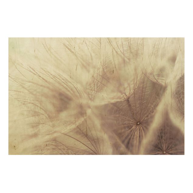 Tableaux en bois avec fleurs Macro photo détaillée d'un pissenlit avec effet de flou vintage