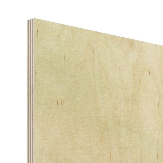 Tableaux en bois Macro photo détaillée d'un pissenlit avec effet de flou vintage