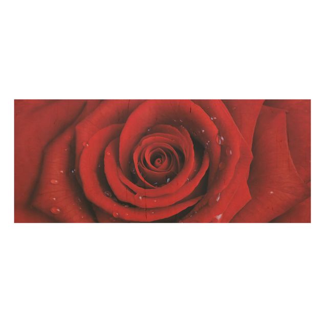Tableaux en bois avec fleurs Rose rouge avec gouttes d'eau