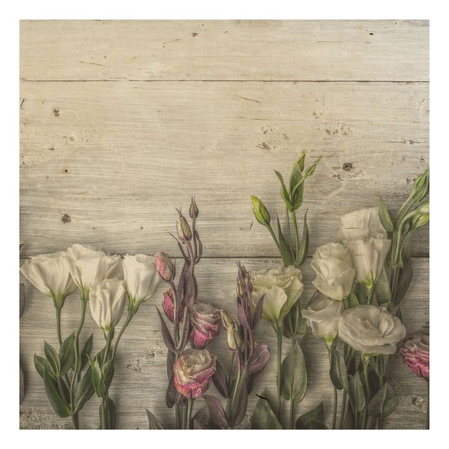 Tableaux en bois avec fleurs Tulip Rose Shabby Wood Look