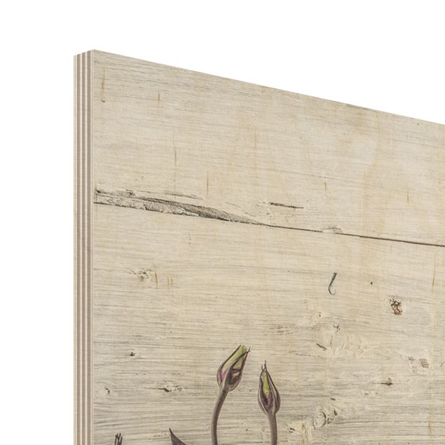 Tableau en bois - Tulip Rose Shabby Wood Look