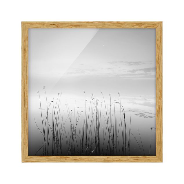 Tableaux encadrés paysage Idylle au bord du lac en noir et blanc