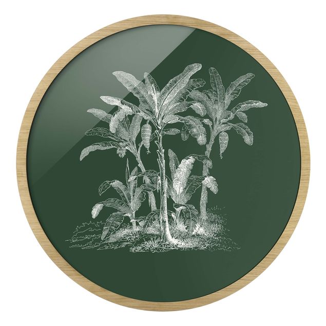 Tableaux florals Illustration Bananiers sur fond vert