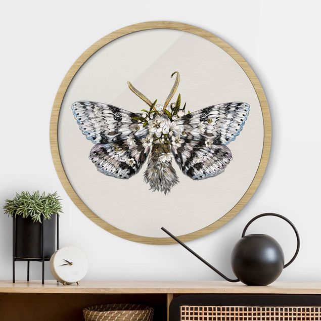 Tableaux encadrés animaux Illustration -  Papillon de nuit floral