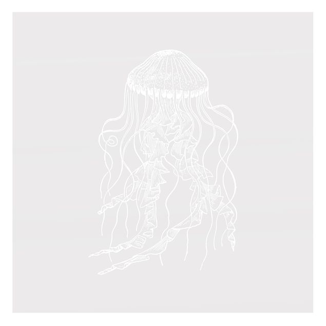 Film pour fenêtres - Illustration Jellyfish