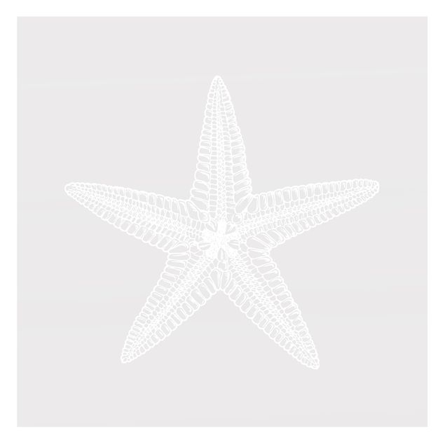 Film pour fenêtres - Illustration Starfish