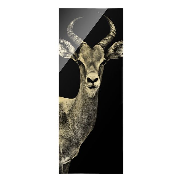 Tableaux noir et blanc Antilope Impala noir et blanc