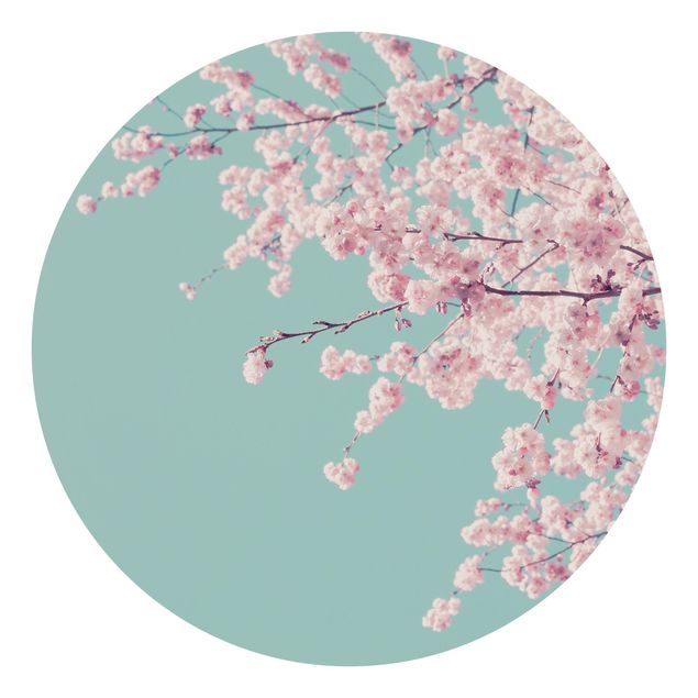 Papier peint maison de campagne Japanese Cherry Blossoms