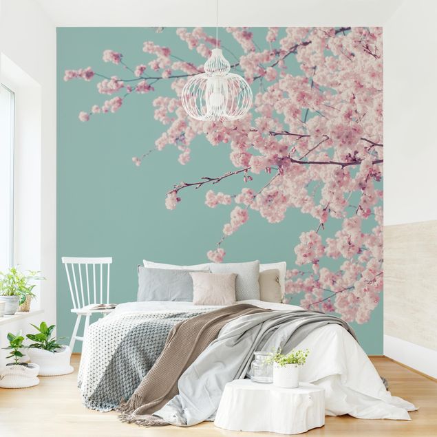 Papier peint moderne Japanese Cherry Blossoms