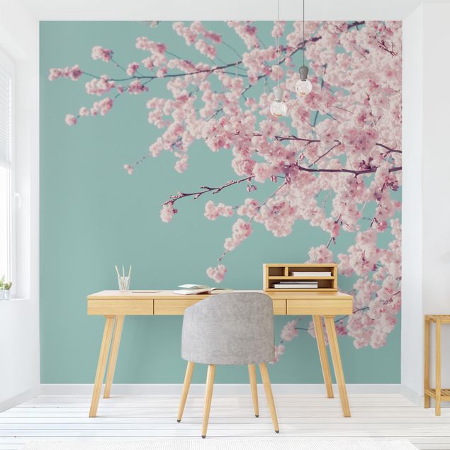 Papier peint campagne Japanese Cherry Blossoms
