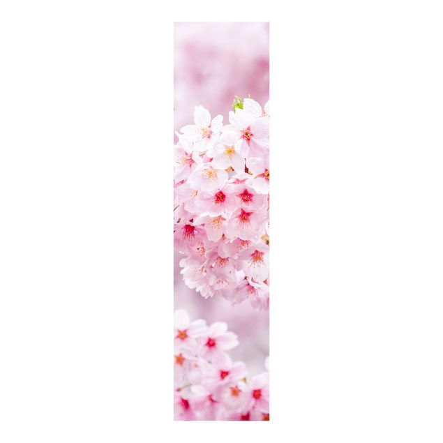 Panneaux coulissants avec fleurs Japanese Cherry Blossoms