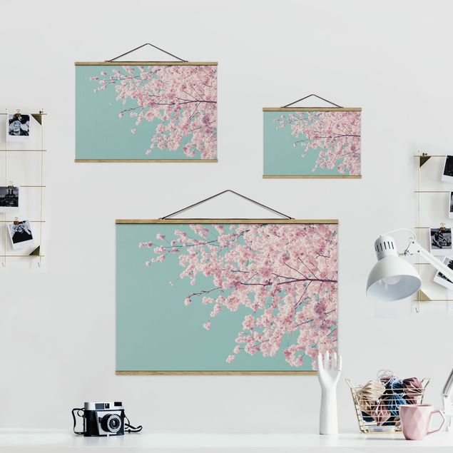 Tableaux muraux Japanese Cherry Blossoms