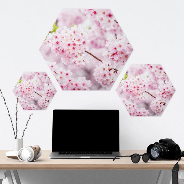 Tableau hexagon Japanese Cherry Blossoms