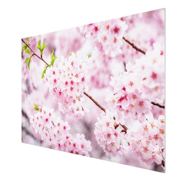 Tableau moderne Japanese Cherry Blossoms
