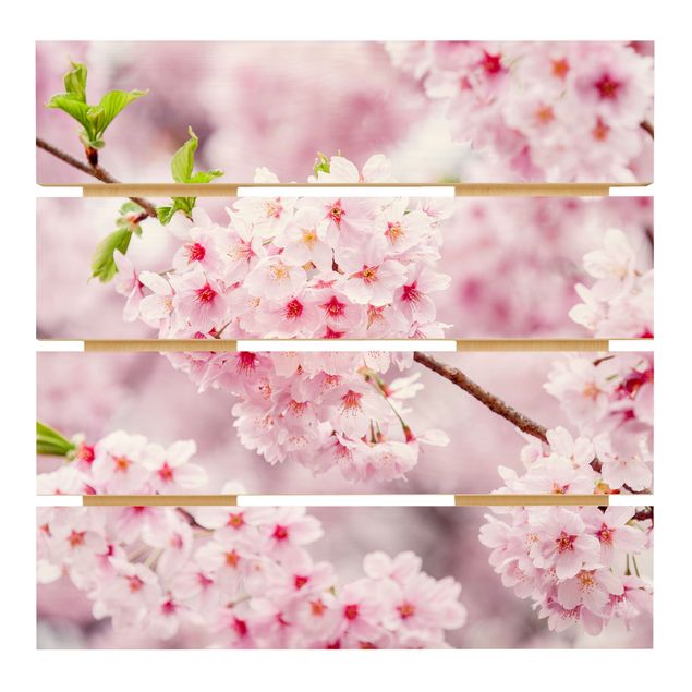 Tableaux bois Japanese Cherry Blossoms