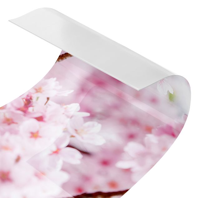 Films adhésifs Japanese Cherry Blossoms