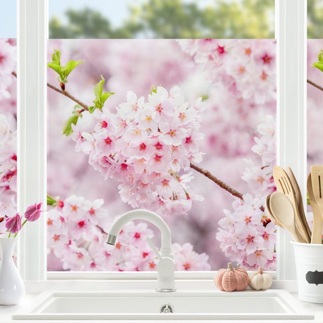 Stickers fenêtre fleurs Fleurs de cerisier japonaises