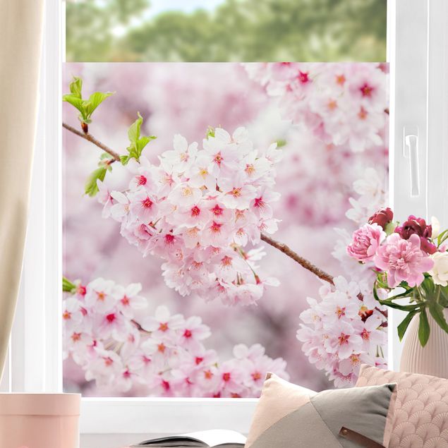 Films autocollants Fleurs de cerisier japonaises