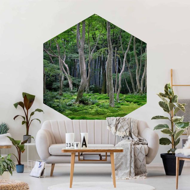 Papier peint panoramique paysage Forêt japonaise