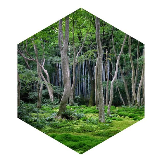tapisserie panoramique Forêt japonaise